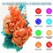 Epoxy Resin Pigment - 24 Colors Liquid Translucent Epoxy Resin Colorant, Highly Concentrated Dye for DIY Jewelry Making, Paint, Craft - 6ml Each, with 6 Colors Resin Glitter
